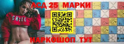 крисы Славгород