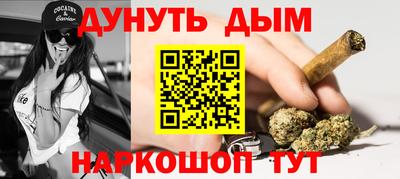 крисы Славгород