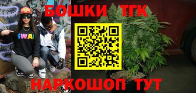 крисы Славгород