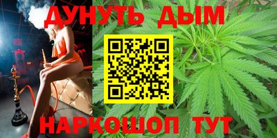 крисы Славгород