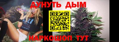 крисы Славгород