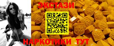 крисы Славгород