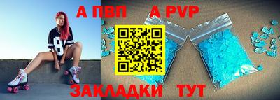 крисы Славгород