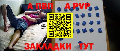 крисы Славгород