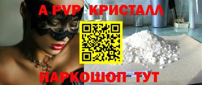 крисы Славгород